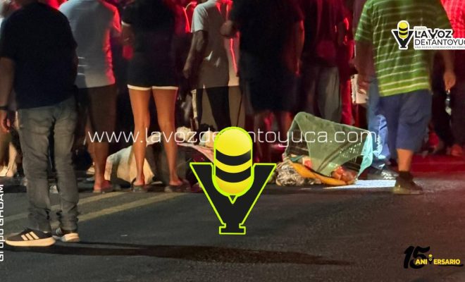 photo_4942988410142526330_y