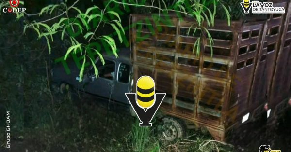 Camioneta cae a barranco en la Alazán - Canoas; conductor resultó ileso