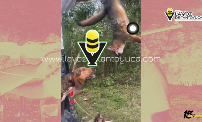 photo_4945365970893605927_y