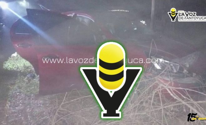 photo_4945365970893605943_y