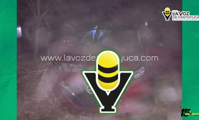 photo_4945365970893605944_y