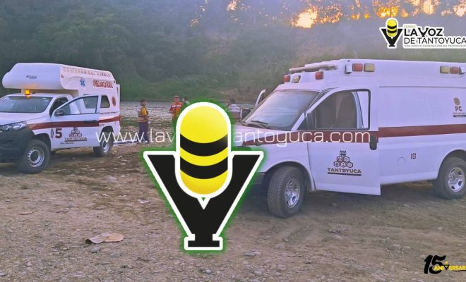 photo_4945365970893605949_y