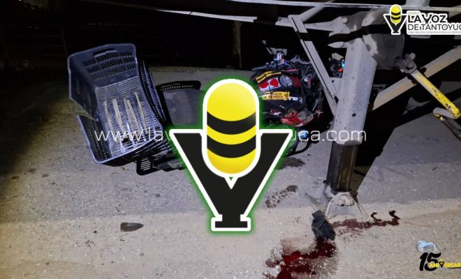 photo_4945365970893605957_y