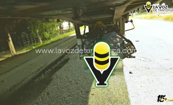 photo_4945365970893605958_y