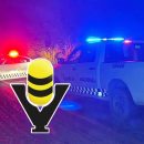 Guardia Nacional se convierte en tránsito federal; aquí las 9 claves para entender el nuevo reglamento de tránsito en carreteras federales que firmó Sheinbaum