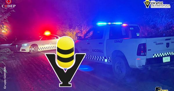 Guardia Nacional se convierte en tránsito federal; aquí las 9 claves para entender el nuevo reglamento de tránsito en carreteras federales que firmó Sheinbaum