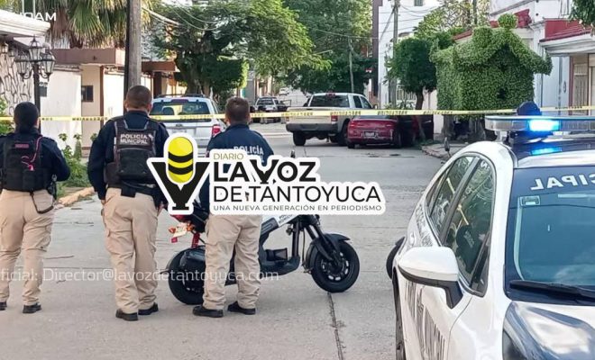 photo_4947606943094737695_y