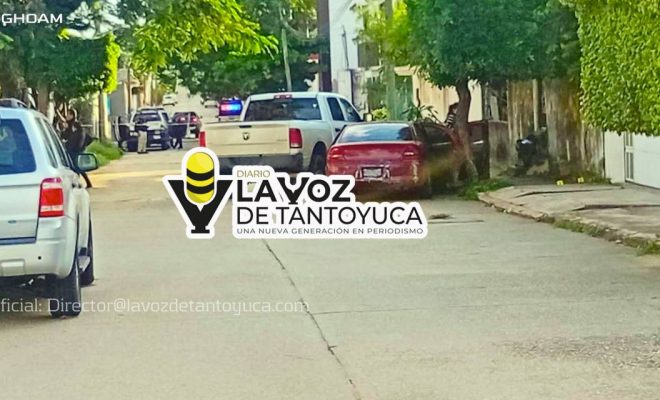 photo_4947606943094737696_y