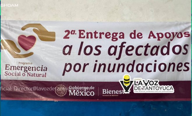 photo_4947606943094737828_y