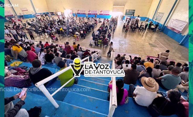 photo_4947606943094737830_y