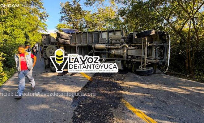 photo_4947606943094737850_y