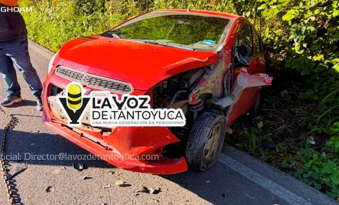 photo_4947606943094737852_y