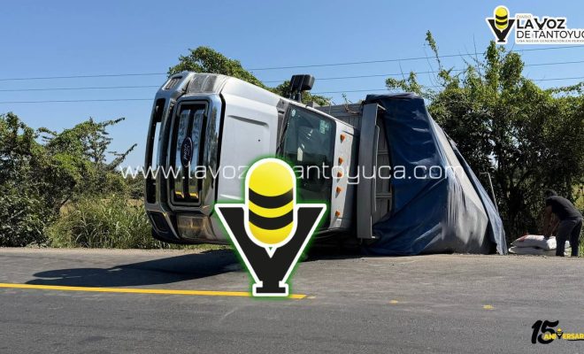 photo_4947617770707291057_y