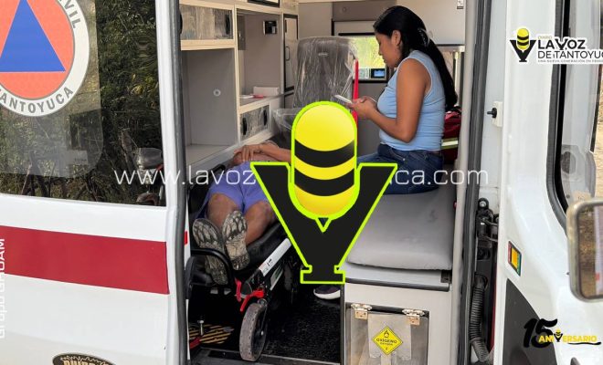 photo_4947707784631880747_y