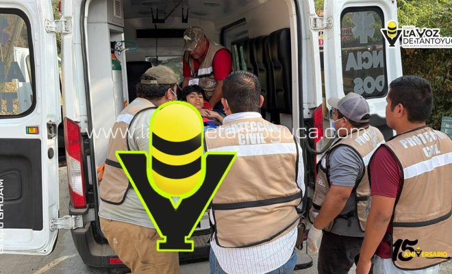 photo_4947707784631880749_y