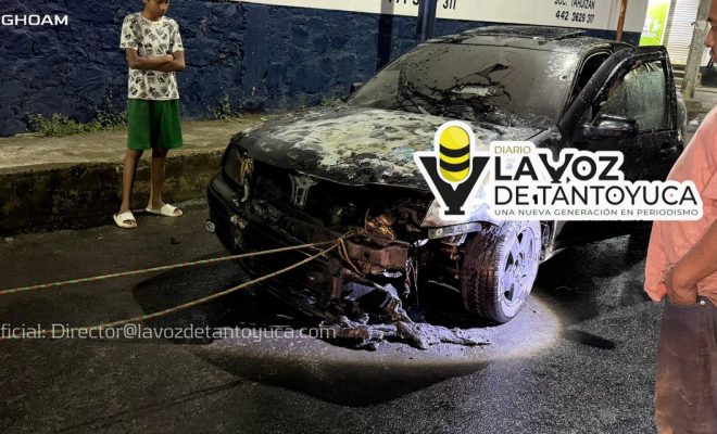 photo_4949465542947441473_y