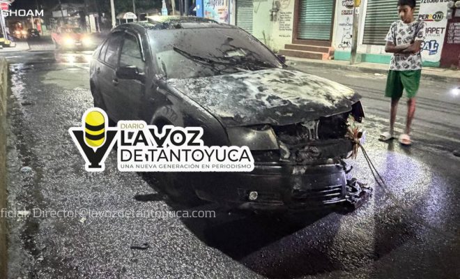 photo_4949465542947441474_y