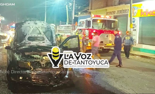 photo_4949465542947441475_y