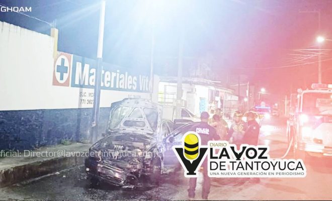 photo_4949465542947441476_y