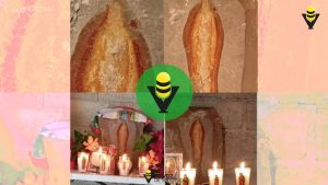 Aparece la Virgen de Guadalupe en una piedra