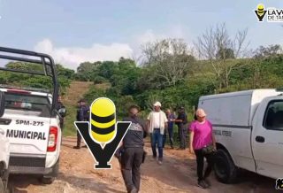 Fallece cortador de lichis tras mordedura de serpiente en Misantla