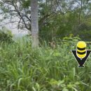 FGR asegura más de 21 mil litros de presunto alcohol durante operativo federal en Tantoyuca