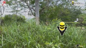 FGR asegura más de 21 mil litros de presunto alcohol durante operativo federal en Tantoyuca