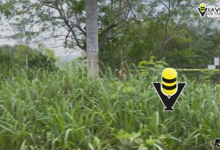 FGR asegura más de 21 mil litros de presunto alcohol durante operativo federal en Tantoyuca