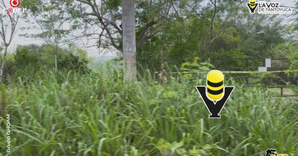FGR asegura más de 21 mil litros de presunto alcohol durante operativo federal en Tantoyuca