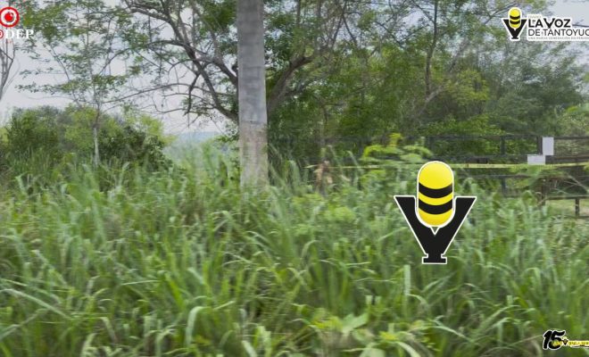 FGR asegura más de 21 mil litros de presunto alcohol durante operativo federal en Tantoyuca