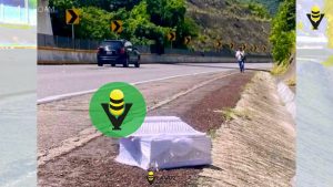 Hallan ataúd pequeño vacío en la Autopista del Sol