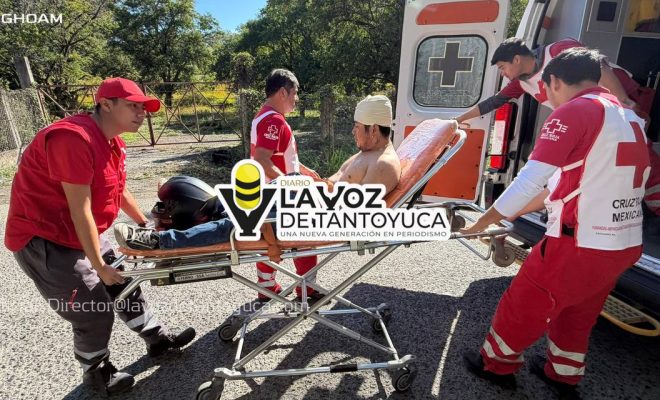 photo_4953969142574811922_y photo_4953969142574811922_y