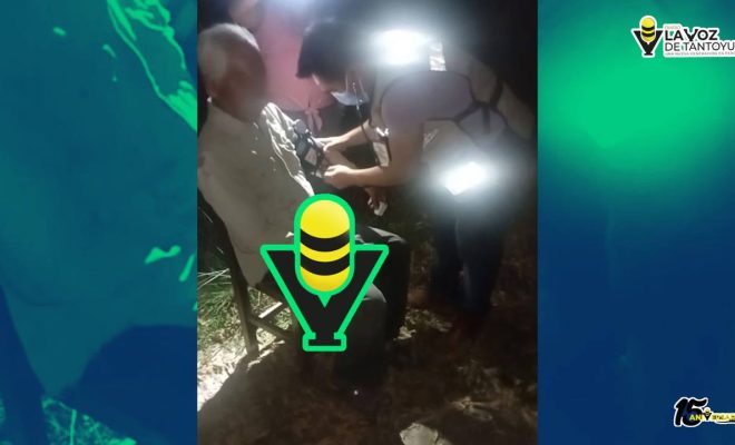 photo_4954044755474058215_y