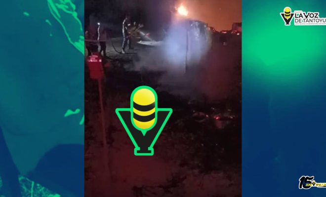 photo_4954044755474058216_y