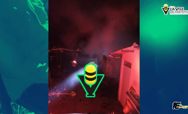 photo_4954044755474058217_y