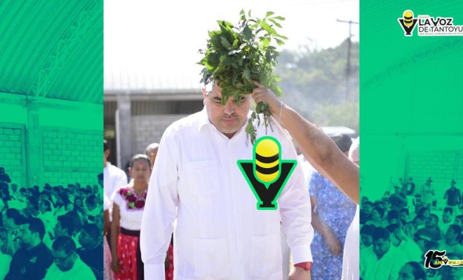 photo_4954044755474058287_y