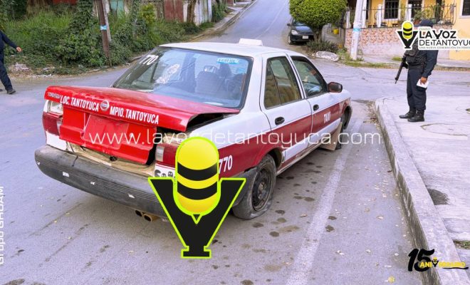 photo_4954056631058632050_y