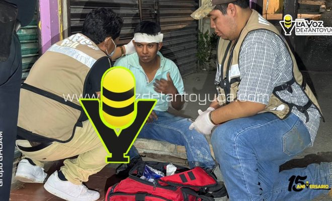 photo_4954056631058632053_y