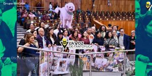 Congreso eleva a rango constitucional la protección a los animales, en Veracruz