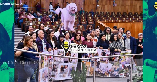 Congreso eleva a rango constitucional la protección a los animales, en Veracruz