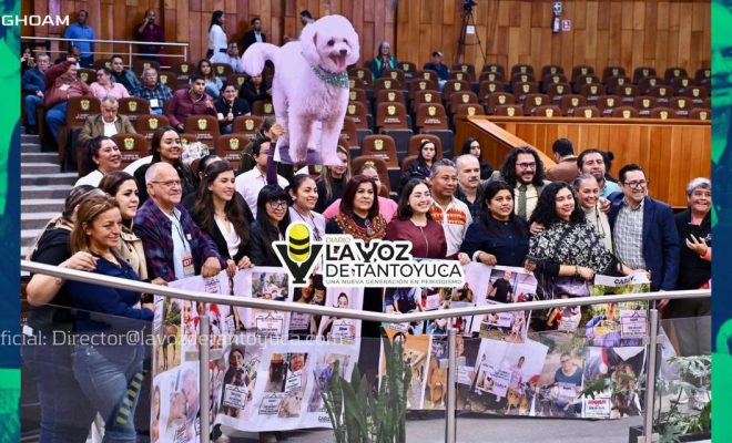 Congreso eleva a rango constitucional la protección a los animales, en Veracruz