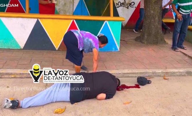 photo_4954146537609038655_y photo_4954146537609038655_y