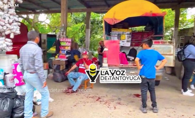 photo_4954146537609038656_y photo_4954146537609038656_y