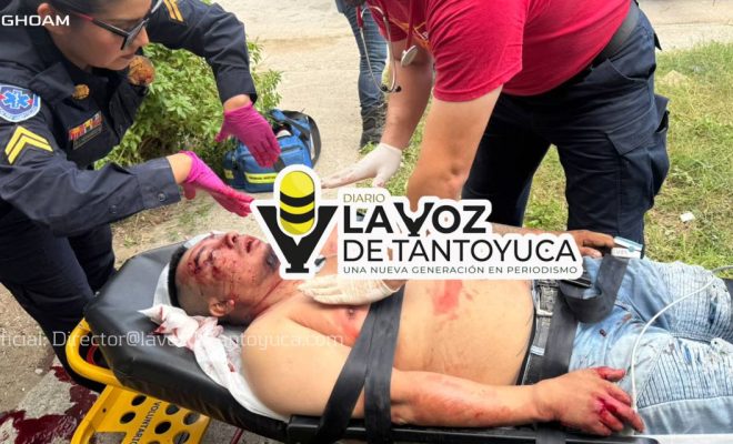 photo_4954146537609038670_y photo_4954146537609038670_y