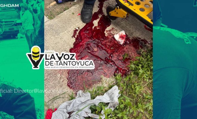 photo_4954146537609038671_y photo_4954146537609038671_y