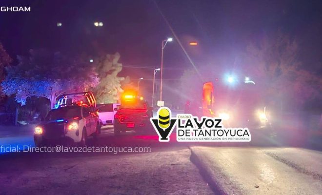 photo_4956398337422723842_y photo_4956398337422723842_y