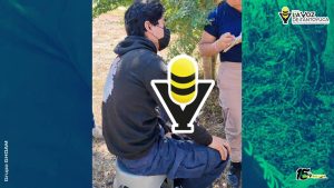 Motociclista resulta lesionado tras ser impactado por un vehículo, en Tepetzintla 