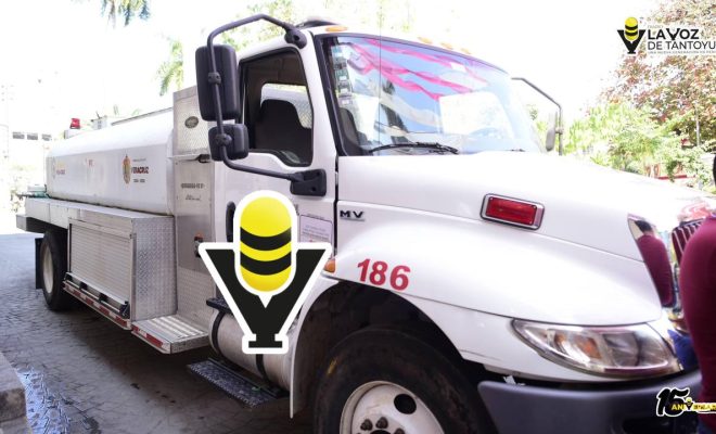 photo_4956454648738941848_y