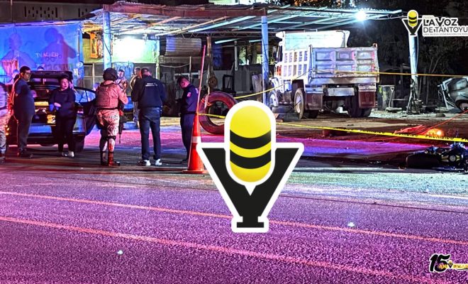 photo_4958992428950031218_y