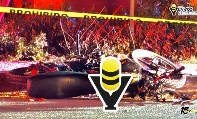 photo_4958992428950031219_y